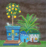 House Plants