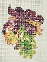 Fall Foliage