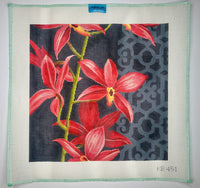 Red Orchid on Black