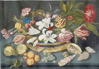 Still Life Shells