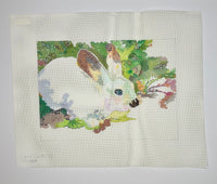 Bunny in Lettuce