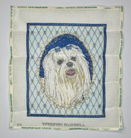 Maltese Dog