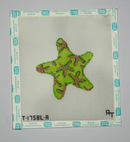 Lime Starfish Ornament 13M