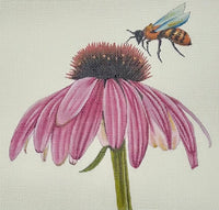 Bee on Coneflower