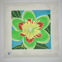 Tulip Poplar Blossom