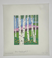 Summer Birch Trees