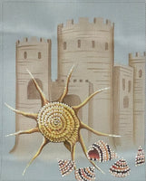 Yoka Star Sandcastle