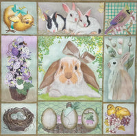 Bunny Collage