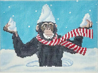 Snowy Chimp