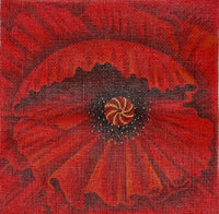 Red Poppy