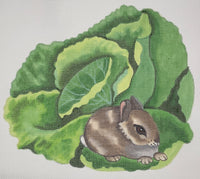 Bunny on Cabbage