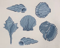 Blue Sea Shells
