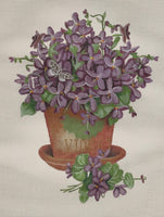 Violets