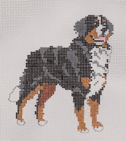 Bernese Mountain Dog