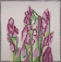 Asparagus Coaster