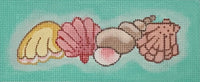 Multi Shells on Turquoise Insert