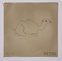 Reclining Camel
