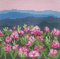 Rhododendron Mtn.