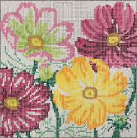 Small Cosmos Beauties