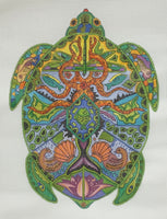 Sea Turtle