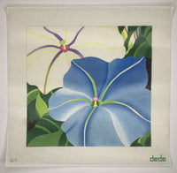 Giant Morning Glories