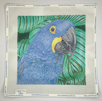 Parrot Hyacinth Macaw