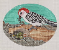 Woodpecker