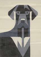 Black and White Dog