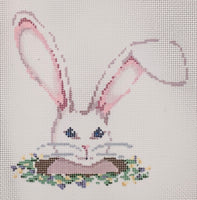 Rabbit Hole