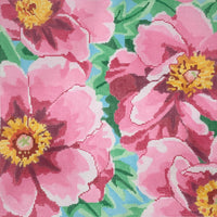 Tree Peony Duchess