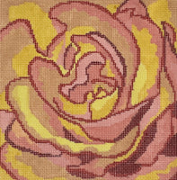Summer Palette - Begonia