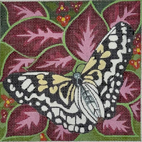 Butterfly 2
