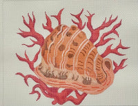Helmet Shell with Coral

