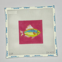 Fish
