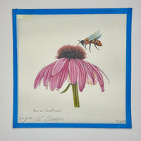 Bee on Coneflower
