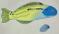 Fish
