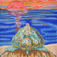 Turtle Tide
