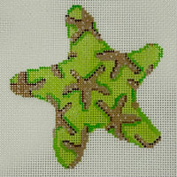 Lime Starfish Ornament 13M
