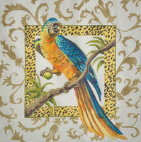 Blue and Orange Parrot
