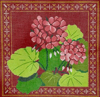 Geraniums
