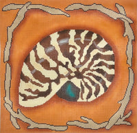 Nautilus on Orange
