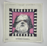 Shih Tzu Puppy
