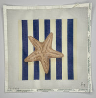 Starfish Square Stripe
