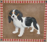 Cavalier Puppy
