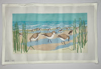 Sanderlings
