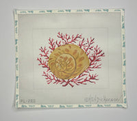 Moon Snail Shell with Coral
