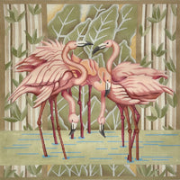 Flamingos