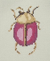 Pink Scarab
