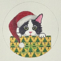 Black & White Kitty in Package
