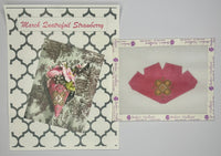 Barbara's Berries - March with stitch guide
